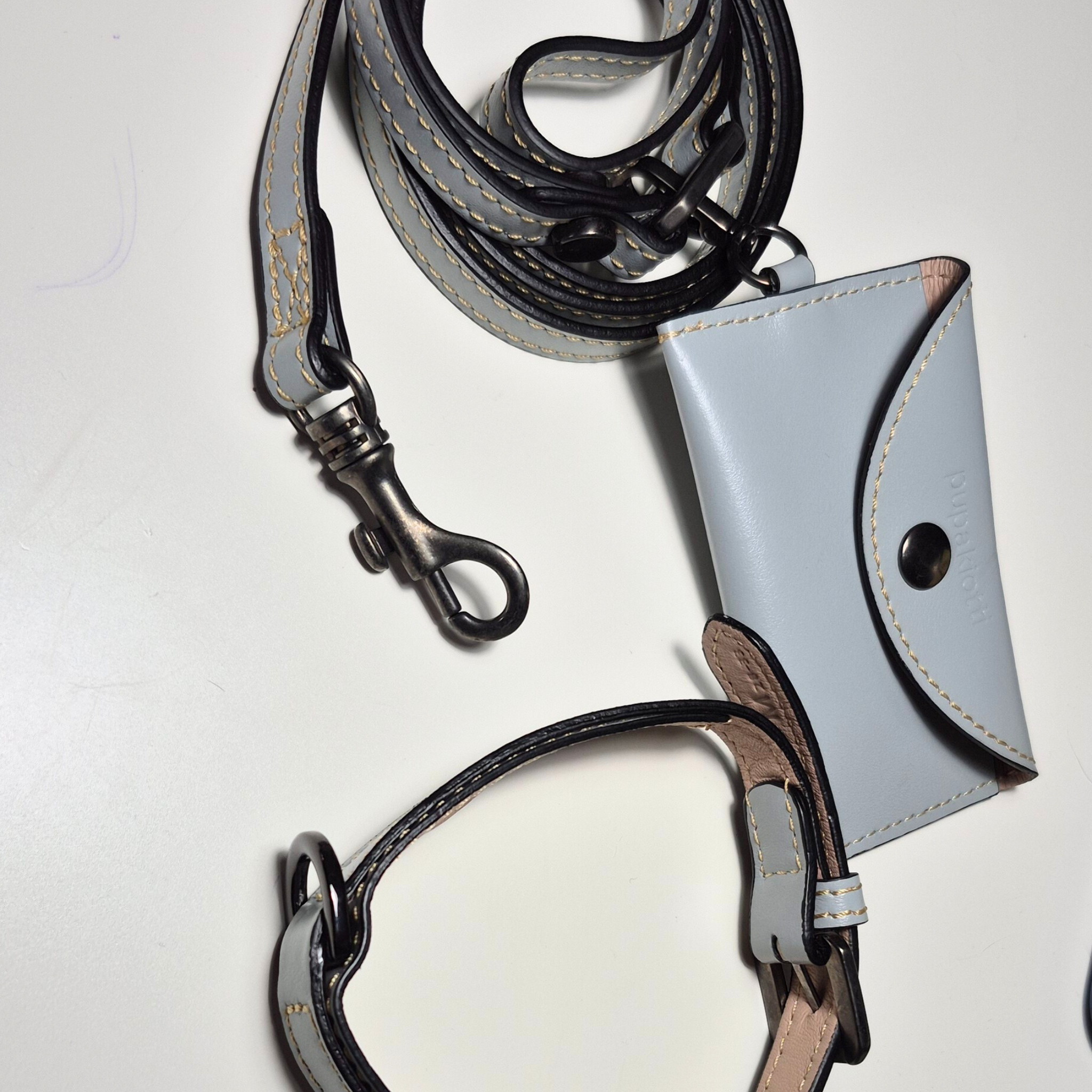 Set Collare e Guinzaglio in Pelle con Porta Sacchetti